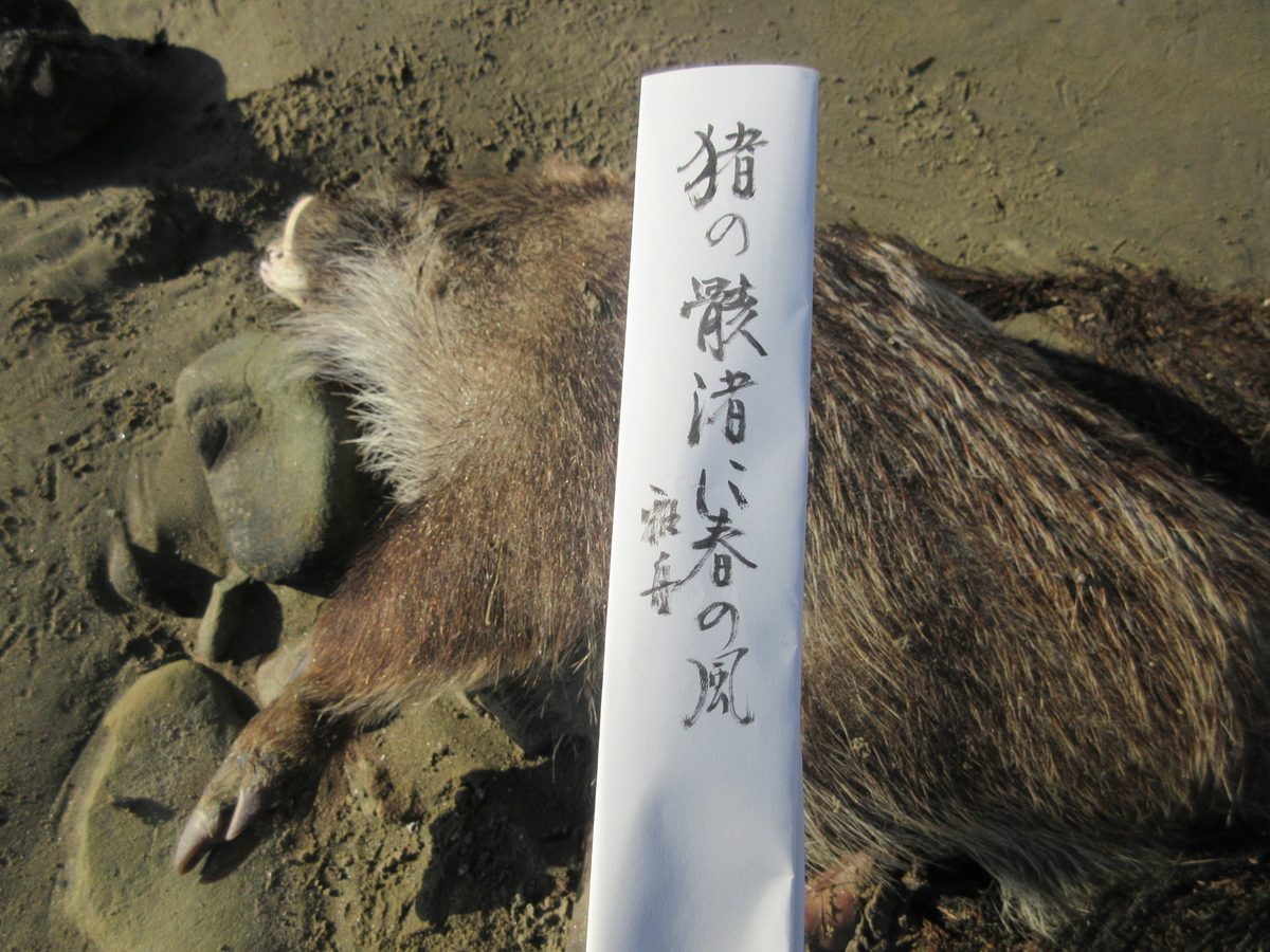 f:id:gashuu:20210206174230j:plain