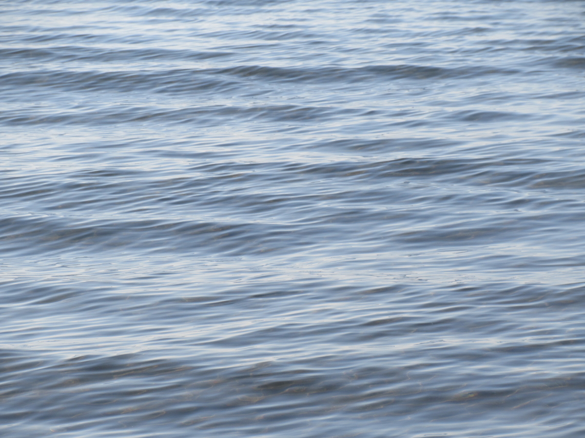 f:id:gashuu:20210206174319j:plain