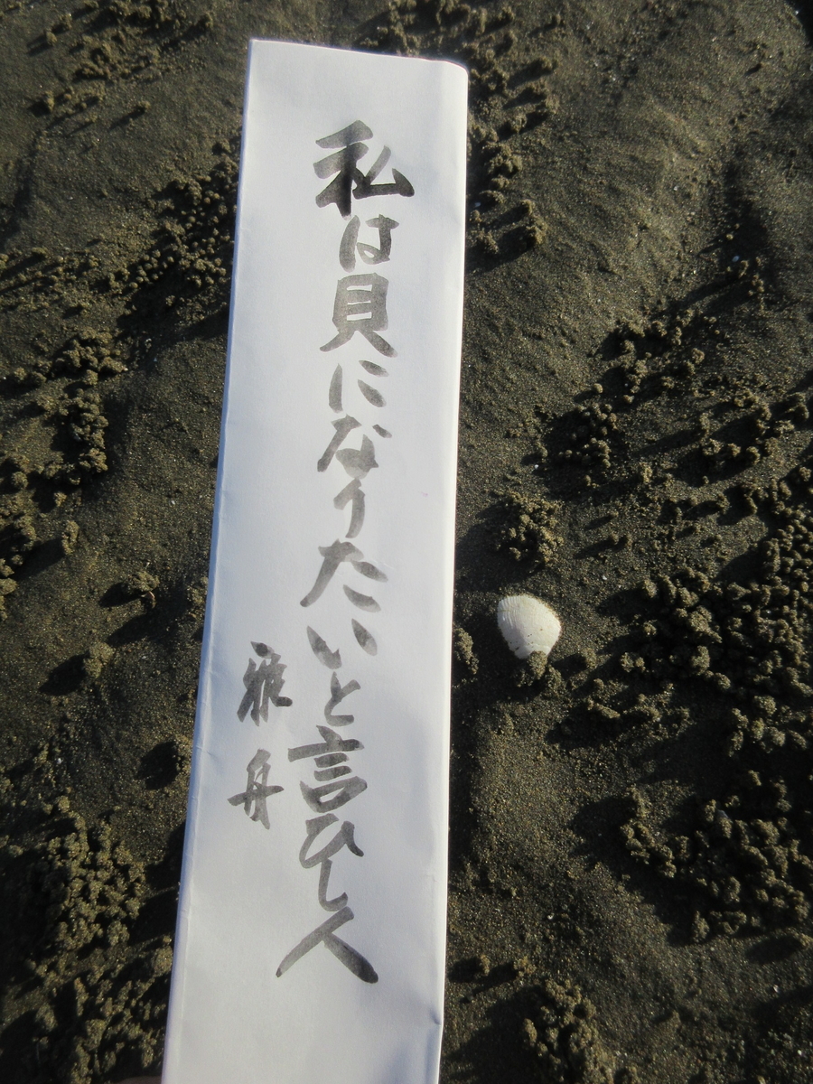 f:id:gashuu:20210206174553j:plain