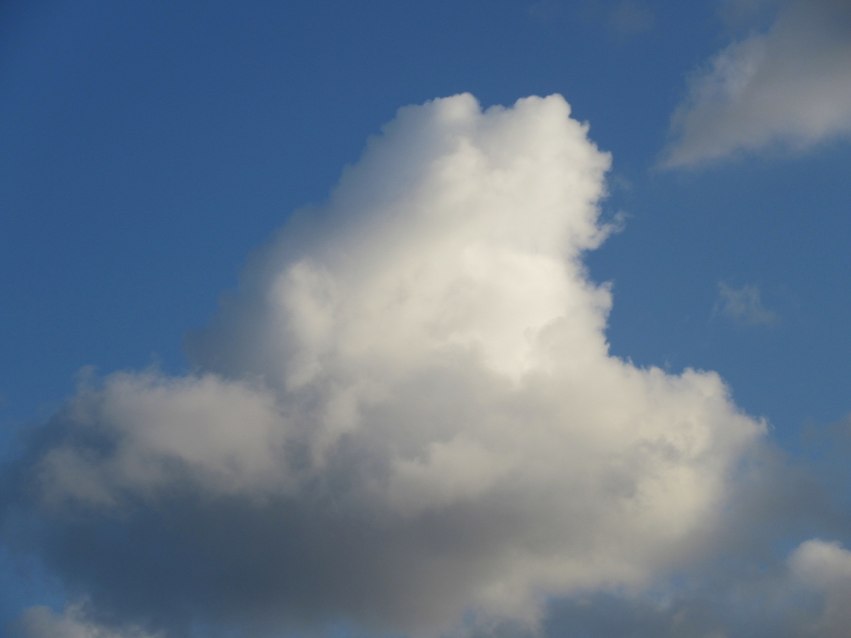 f:id:gashuu:20210218183155j:plain