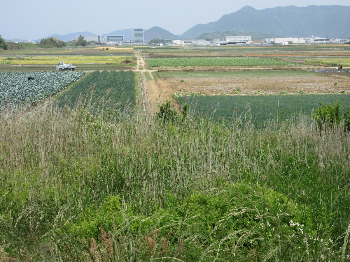 f:id:gashuu:20210502160356j:plain
