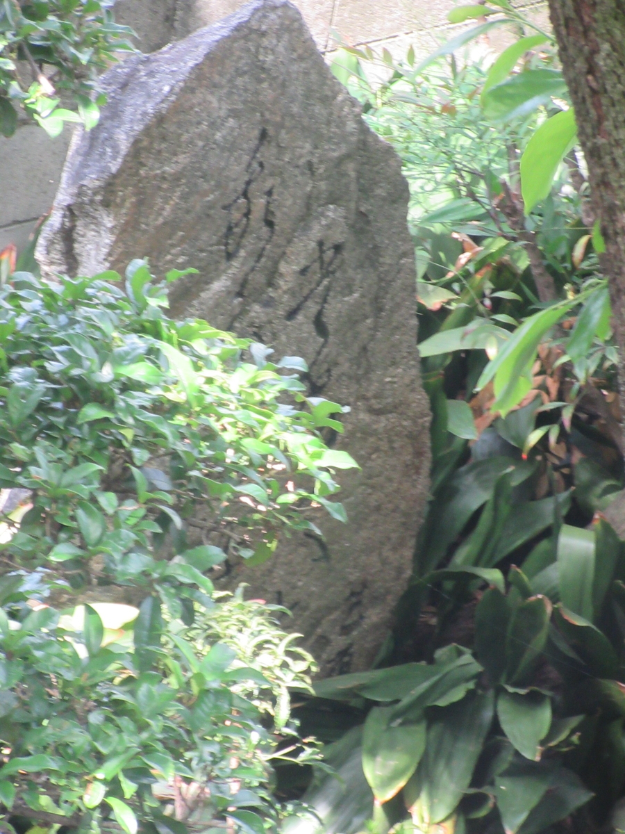 f:id:gashuu:20210509102959j:plain