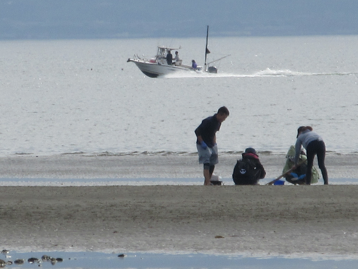 f:id:gashuu:20210510182624j:plain