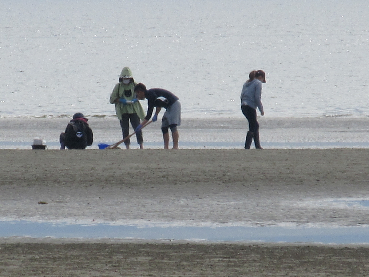 f:id:gashuu:20210510182707j:plain