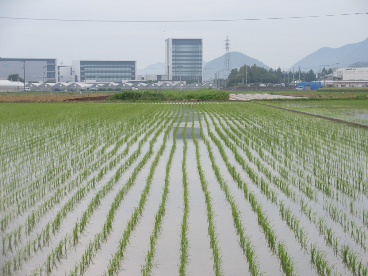 f:id:gashuu:20210612084406j:plain