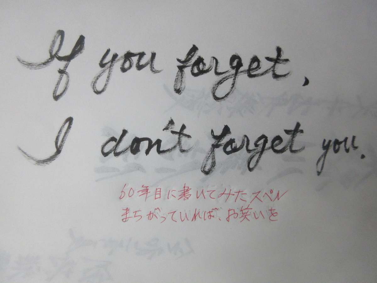 f:id:gashuu:20210706213835j:plain