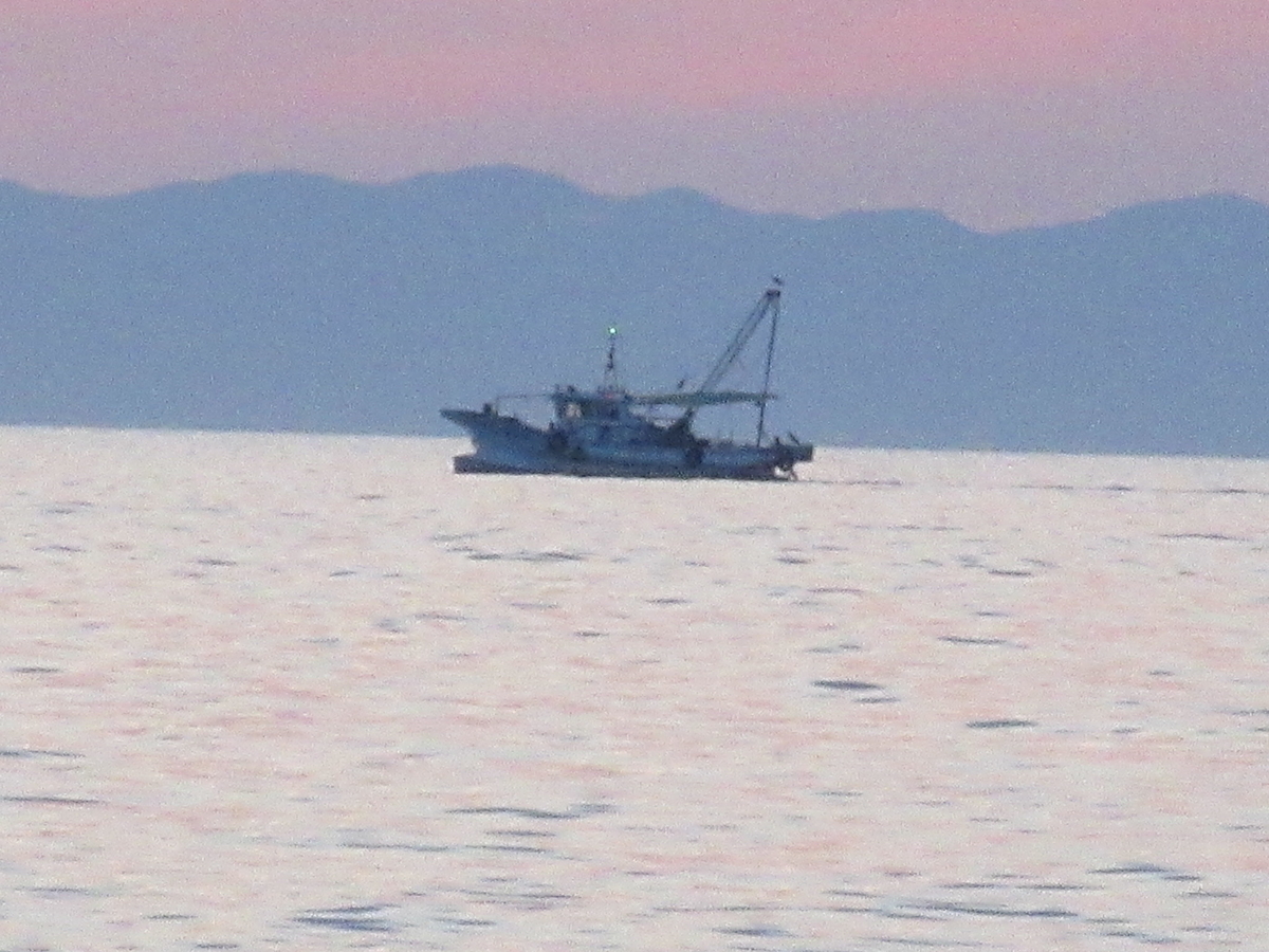 f:id:gashuu:20210722200640j:plain