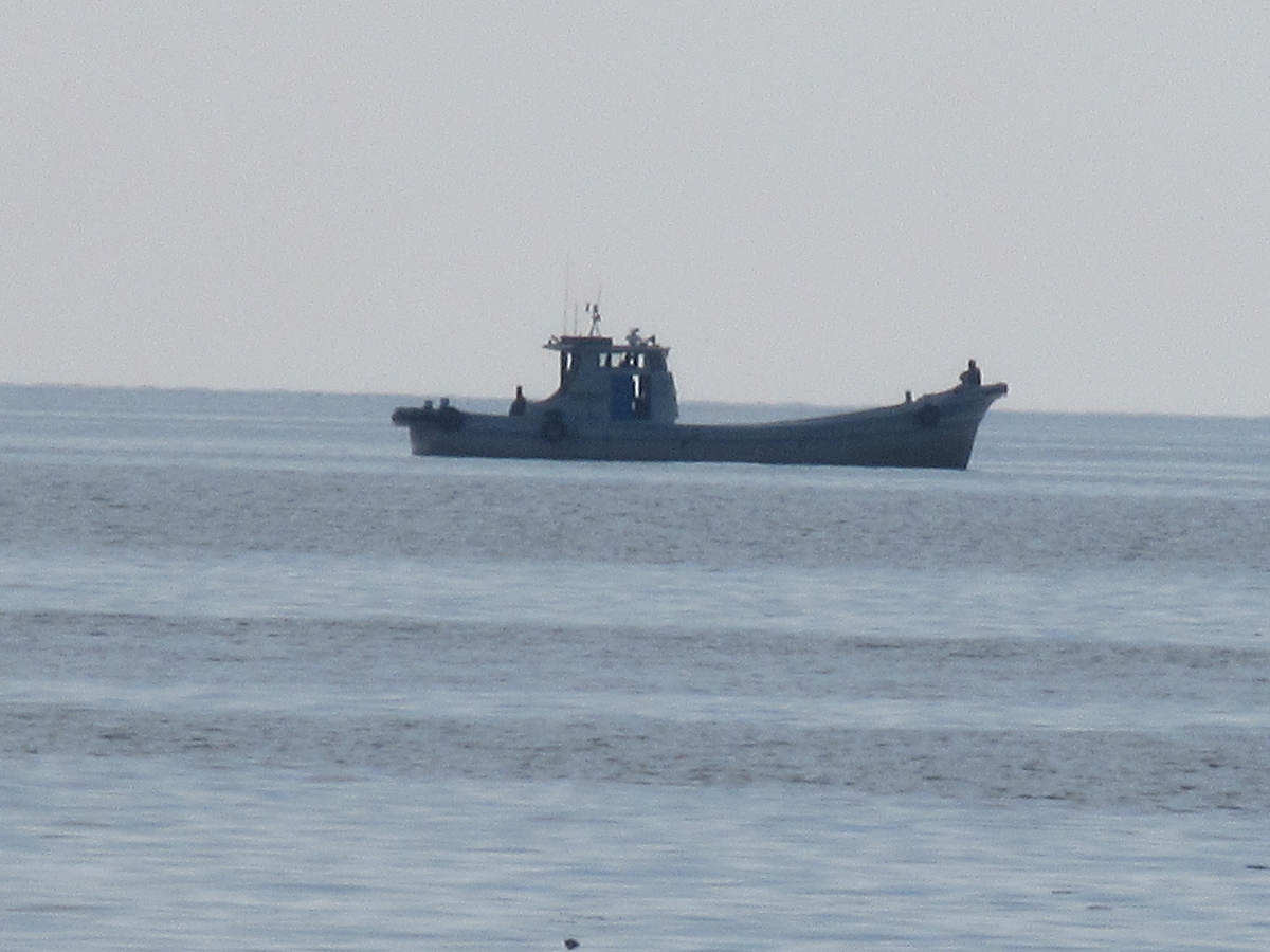 f:id:gashuu:20210729193610j:plain