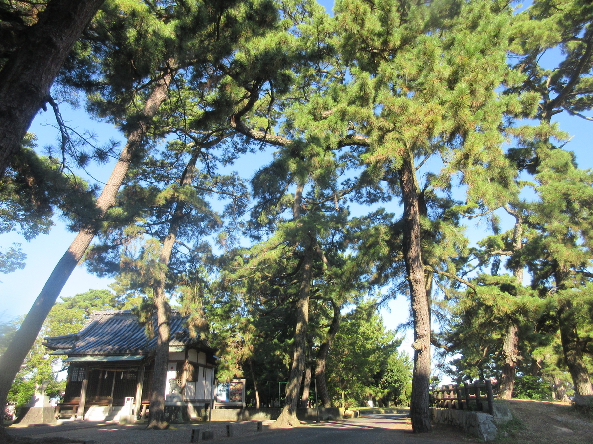 f:id:gashuu:20210804100414j:plain