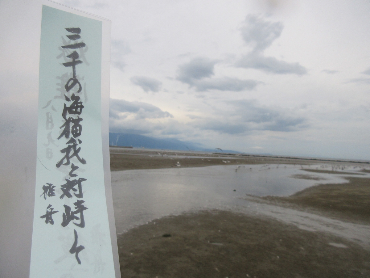 f:id:gashuu:20210808210900j:plain