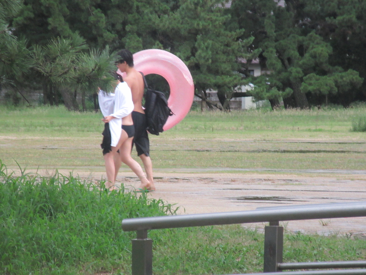 f:id:gashuu:20210819172807j:plain