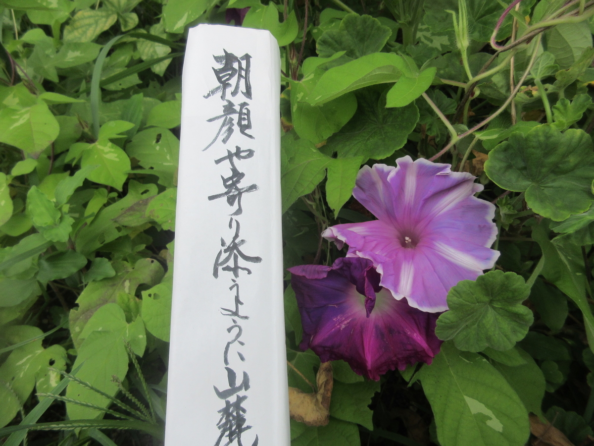 f:id:gashuu:20210824173420j:plain