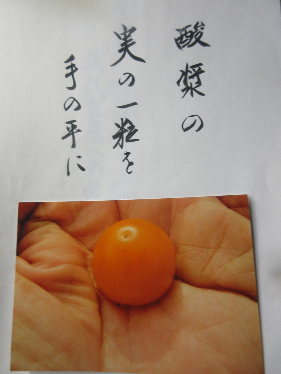 f:id:gashuu:20210830195232j:plain
