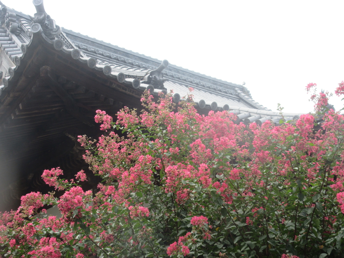 f:id:gashuu:20210905165534j:plain