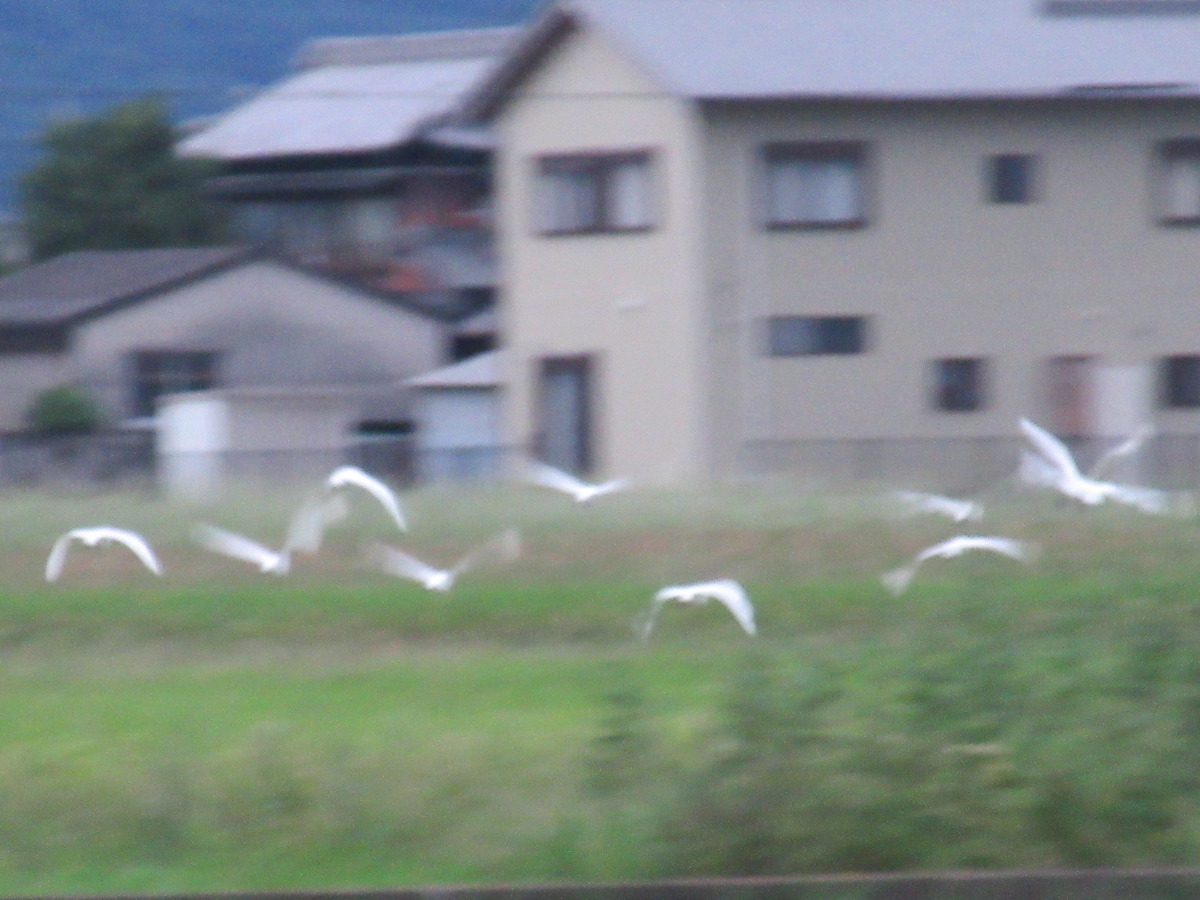 f:id:gashuu:20210917175713j:plain