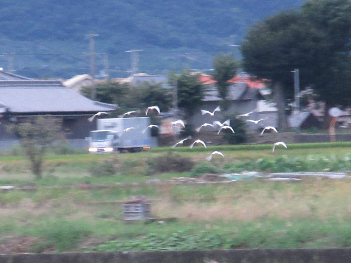 f:id:gashuu:20210917182112j:plain