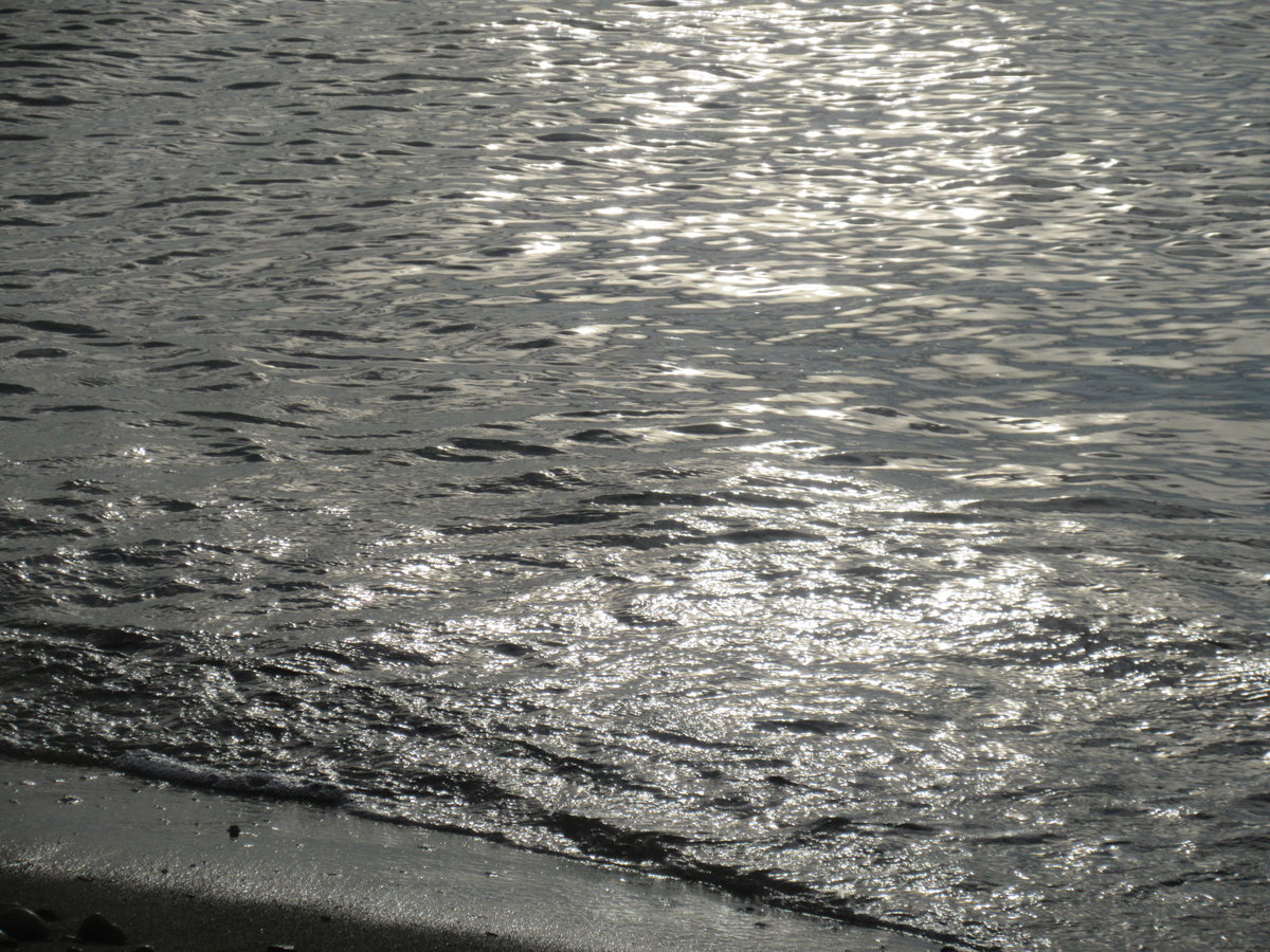 f:id:gashuu:20210930210546j:plain