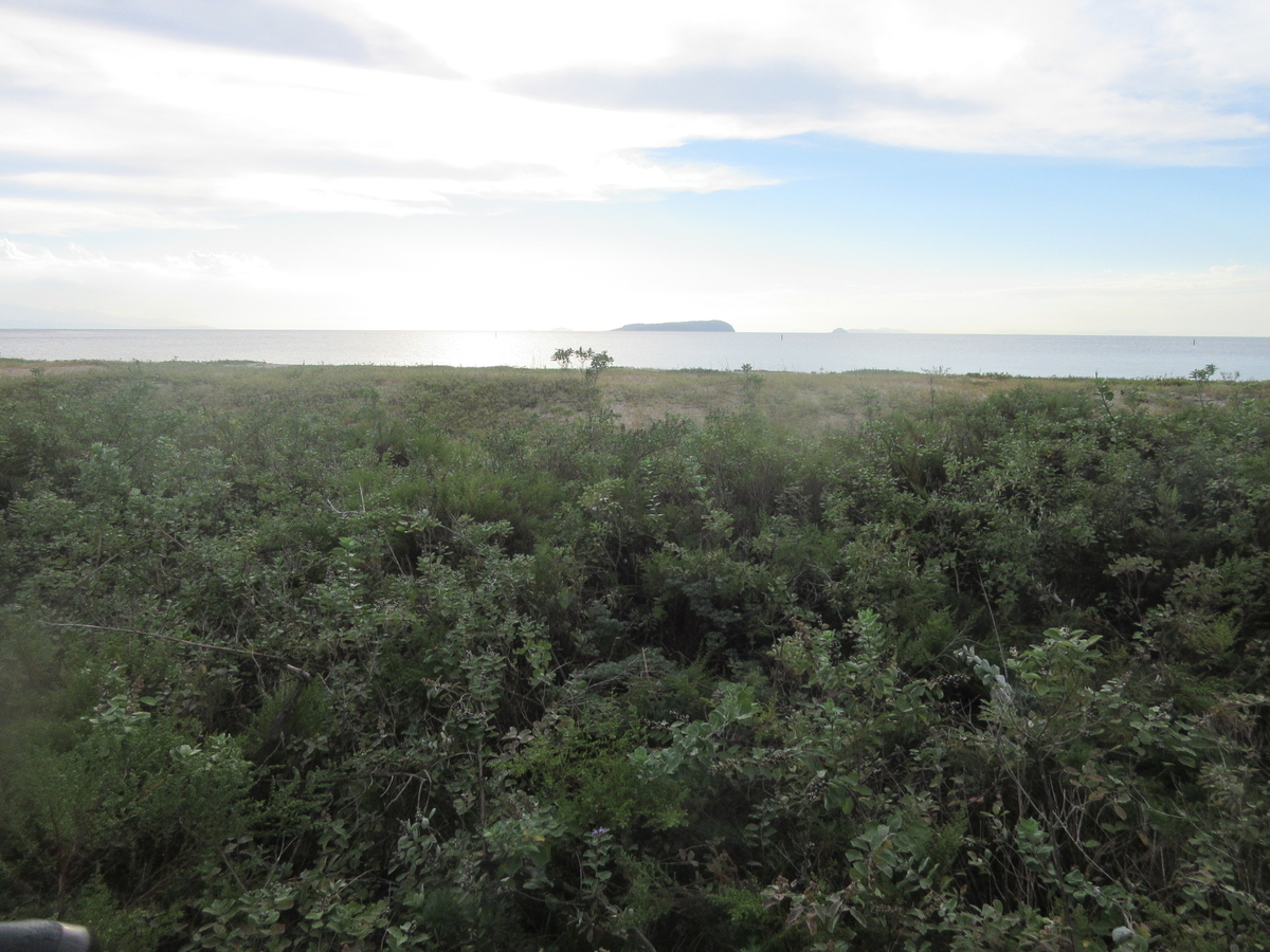 f:id:gashuu:20210930210648j:plain