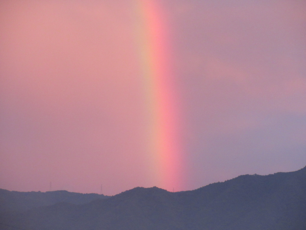 f:id:gashuu:20211013121733j:plain