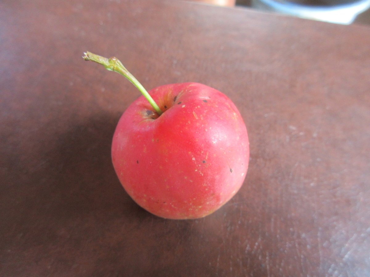 f:id:gashuu:20211014200647j:plain
