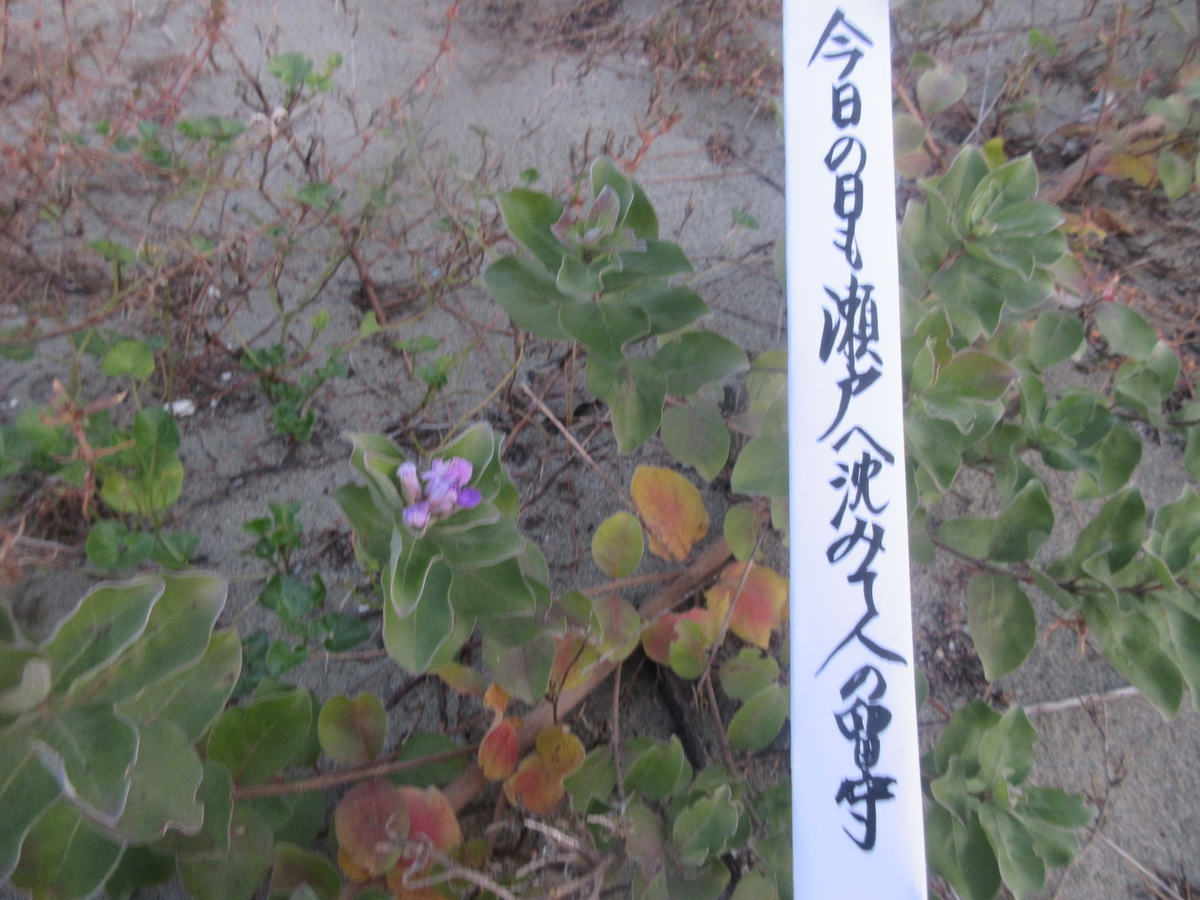 f:id:gashuu:20211102183345j:plain