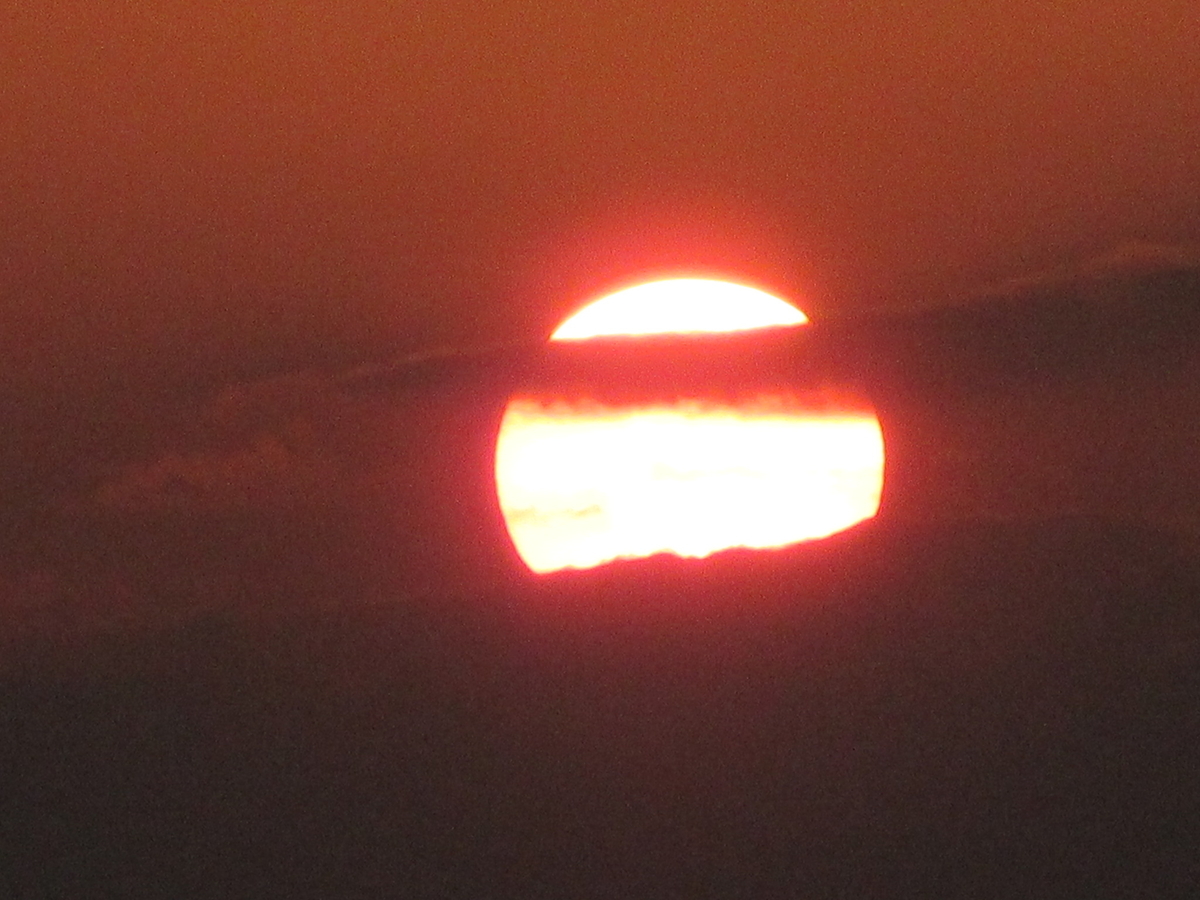 f:id:gashuu:20211102183501j:plain