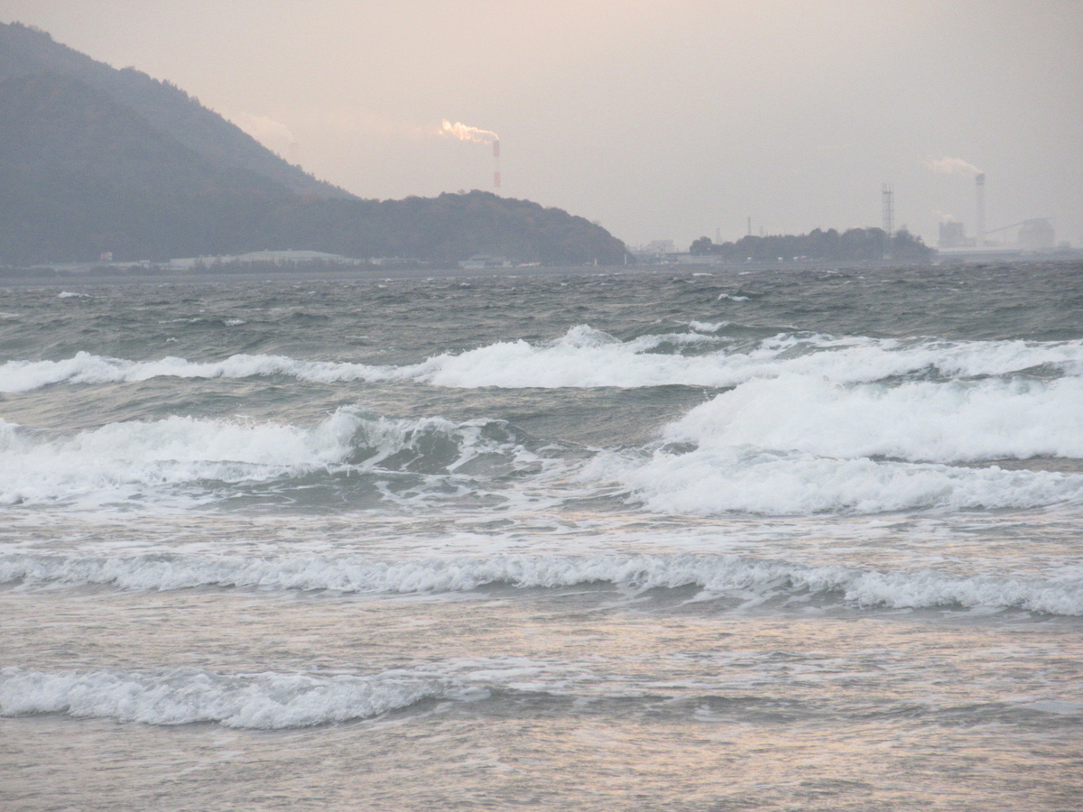 f:id:gashuu:20211212201924j:plain