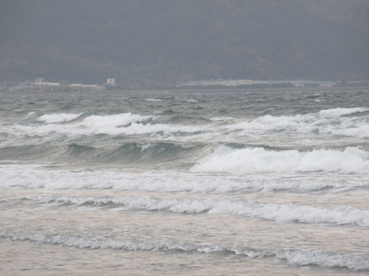 f:id:gashuu:20211212201948j:plain