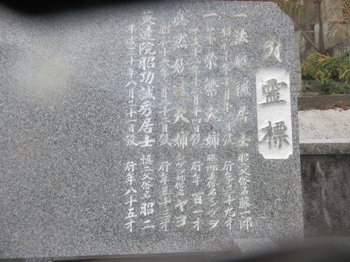 f:id:gashuu:20220118142817j:plain