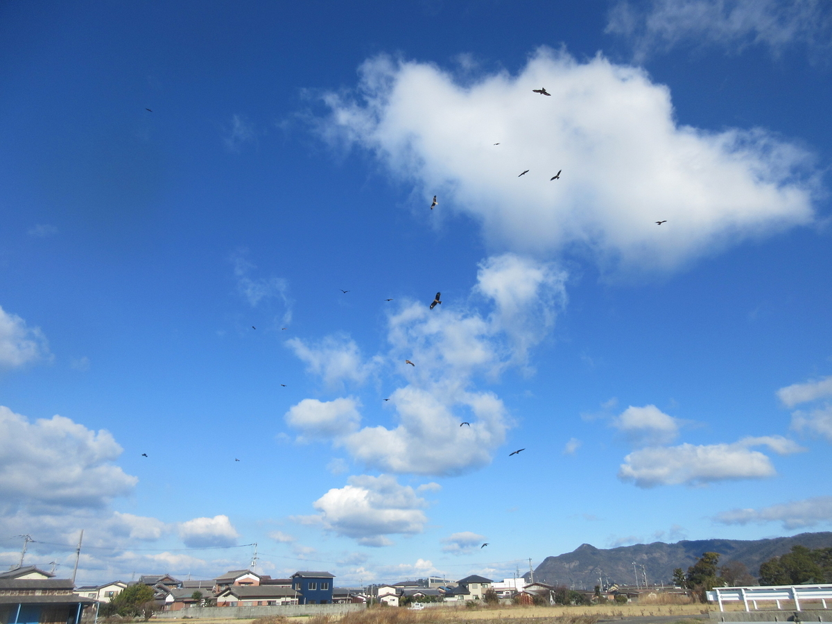 f:id:gashuu:20220120122823j:plain
