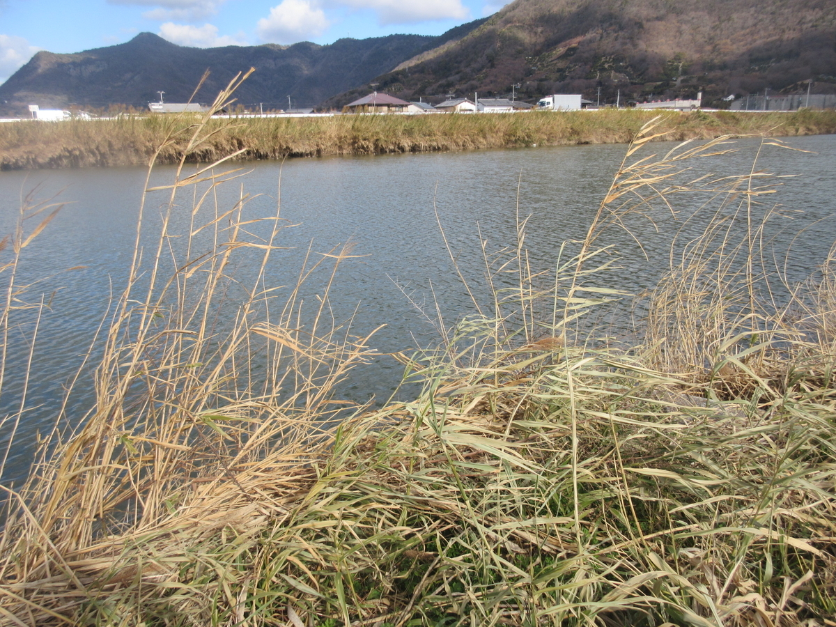 f:id:gashuu:20220120123007j:plain