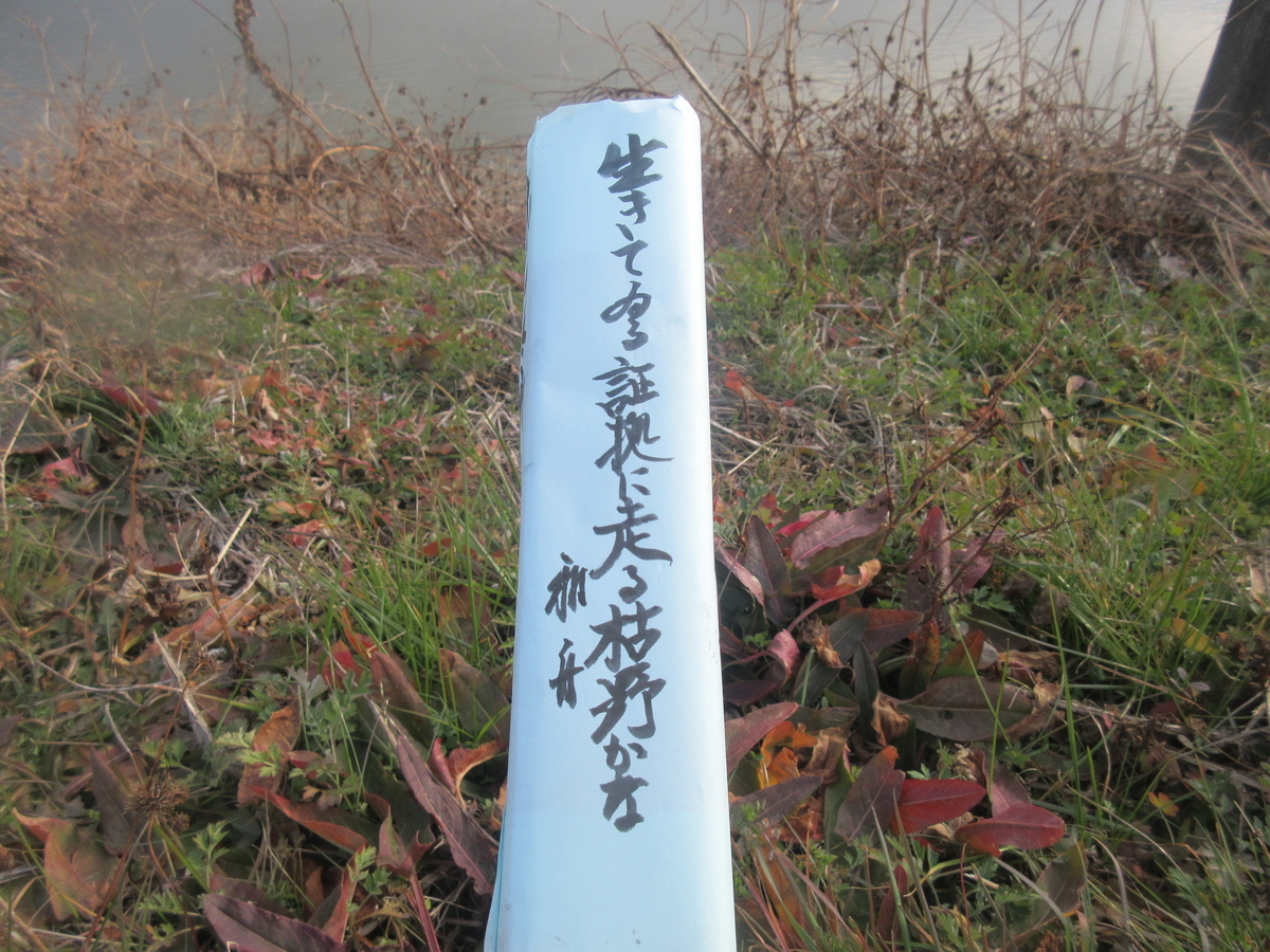 f:id:gashuu:20220126155554j:plain