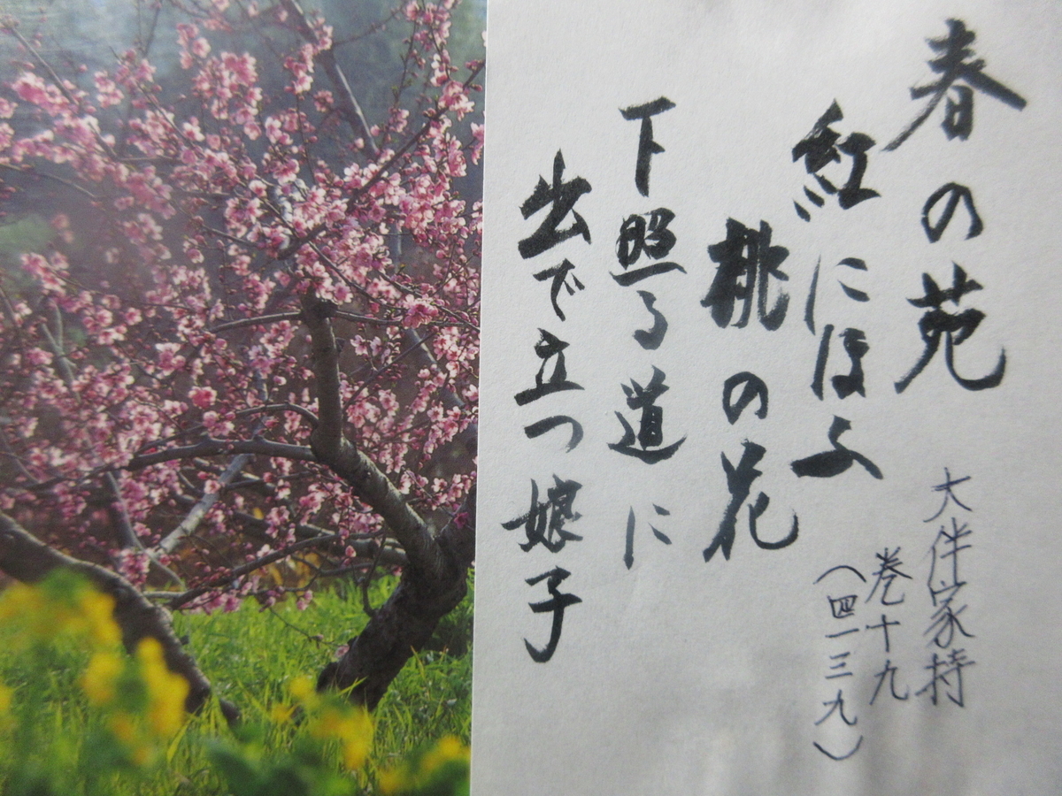 f:id:gashuu:20220202205739j:plain