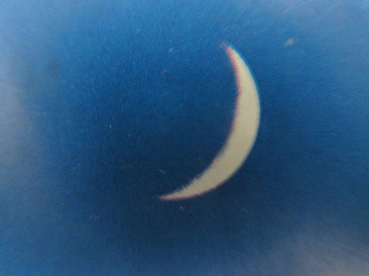 f:id:gashuu:20220206141336j:plain