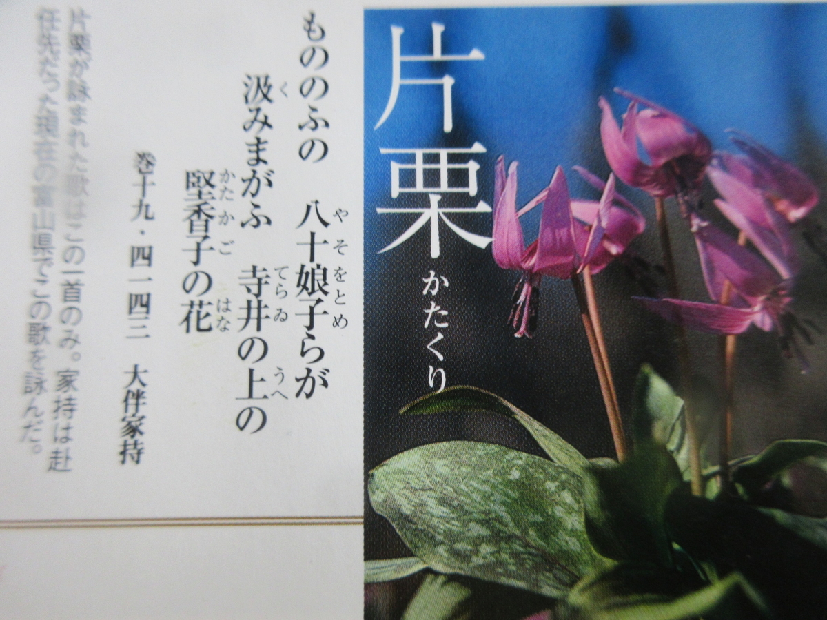 f:id:gashuu:20220219123710j:plain