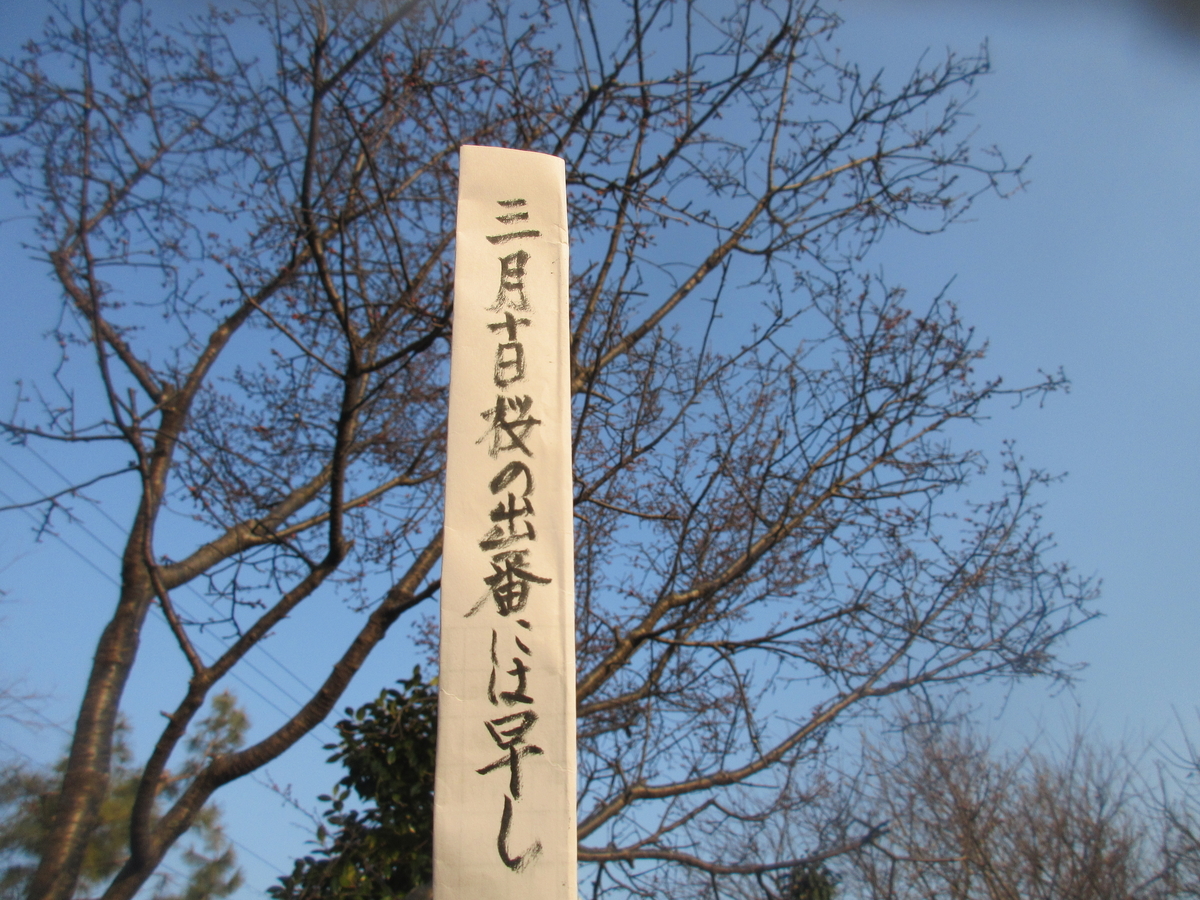 f:id:gashuu:20220310182337j:plain