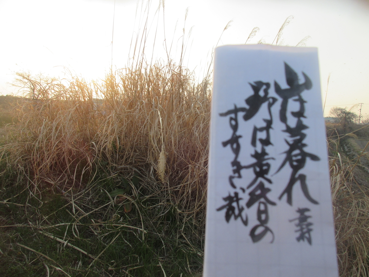 f:id:gashuu:20220310182656j:plain