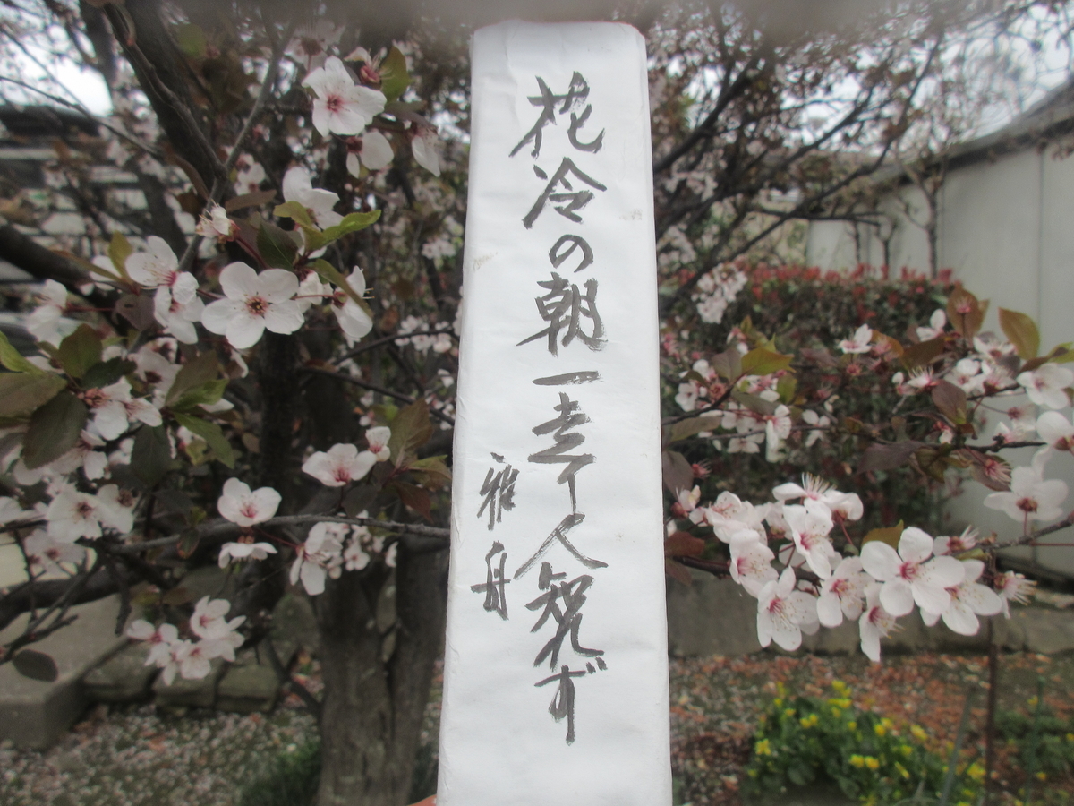 f:id:gashuu:20220328085543j:plain