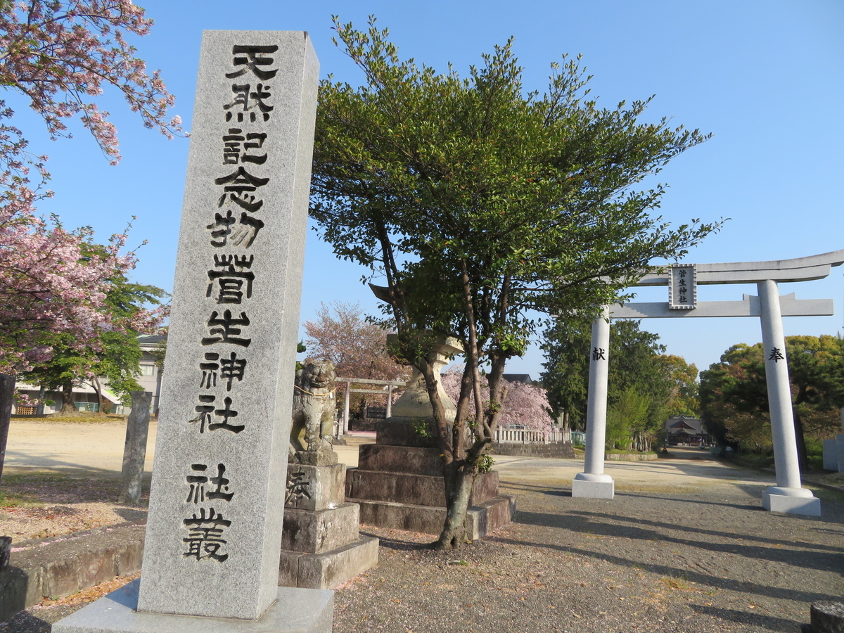 f:id:gashuu:20220410095646j:plain