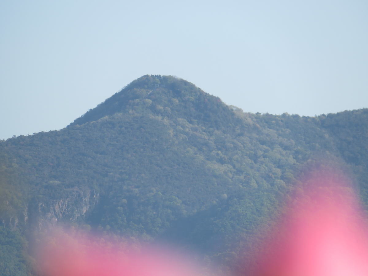 f:id:gashuu:20220417080722j:plain