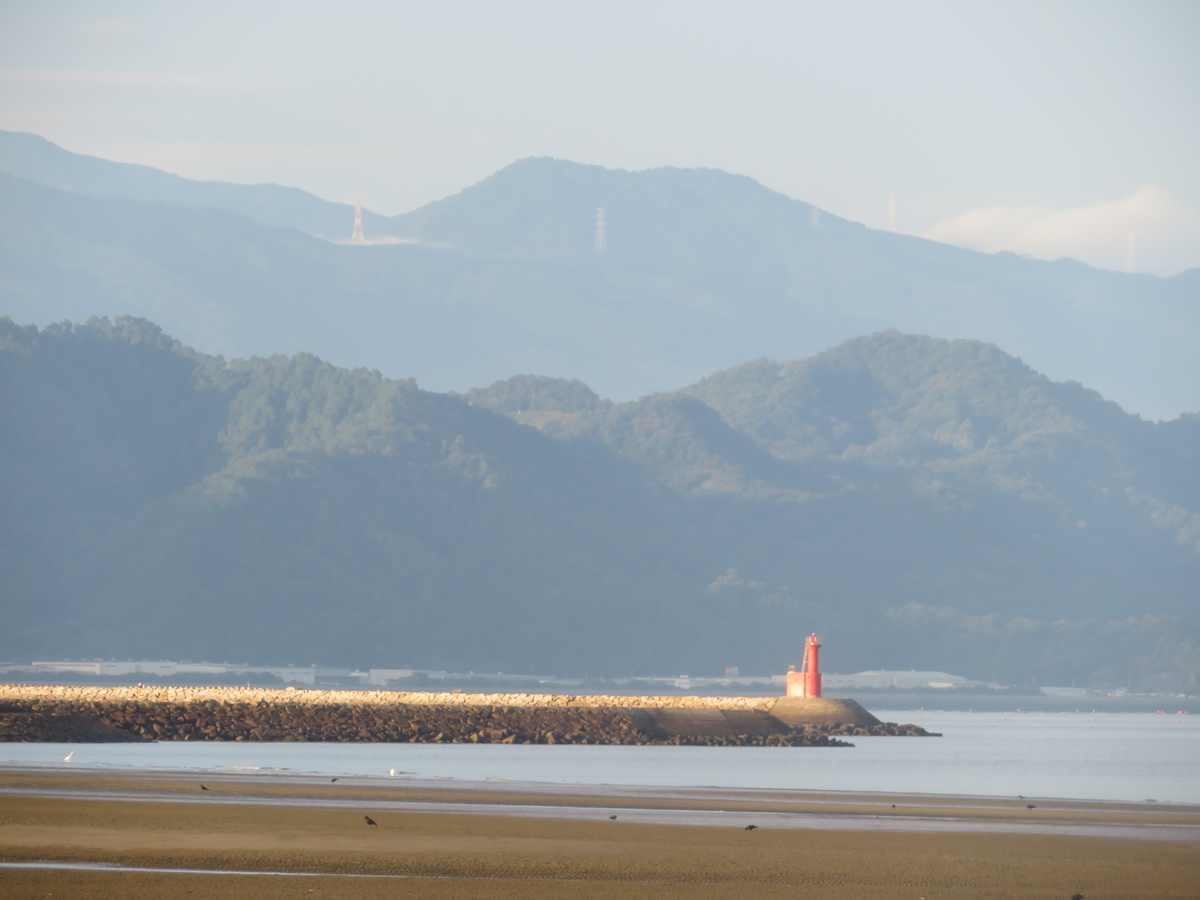 瀬戸内 燧灘の朝海鳥 剣持雅舟のブログ