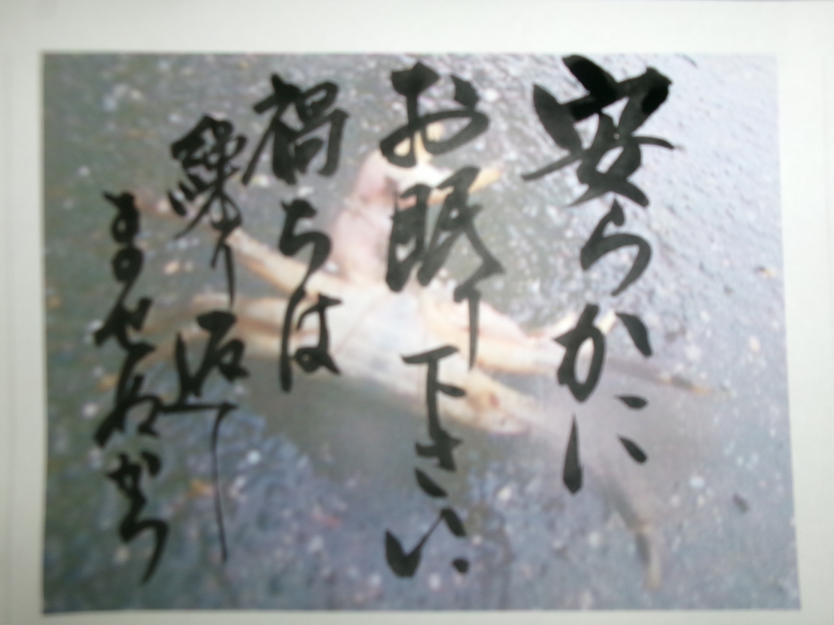 当時のメディア報道・掲載写真