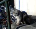 20070114125236