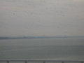 20081115140116