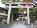 20081115155437