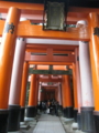 20081115160156