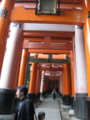 20081115160219