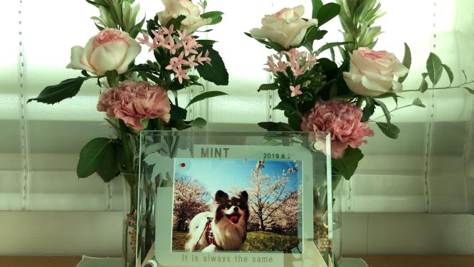 f:id:gasu931:20191018220353j:plain