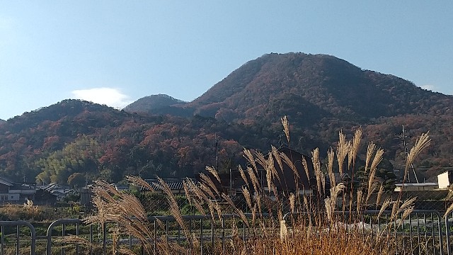 f:id:gasunukix:20221221104308j:image f:id:gasunukix:20221221104308j:image