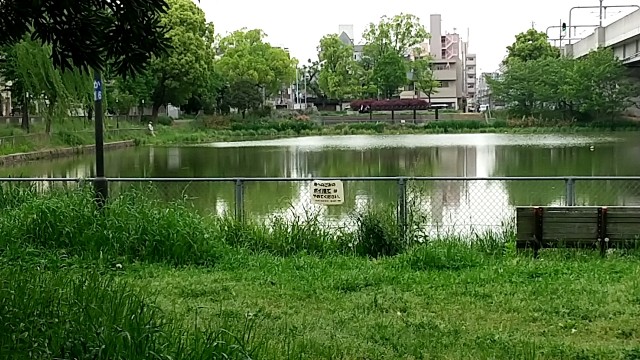 f:id:gasunukix:20240428080033j:image
